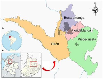 Current Situation of the Presence of Dirofilaria immitis in Dogs and Humans in Bucaramanga, Colombia